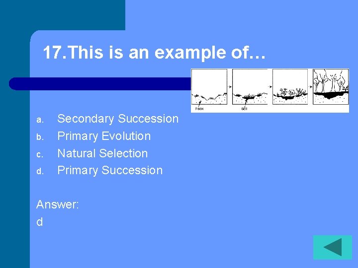 17. This is an example of… a. b. c. d. Secondary Succession Primary Evolution