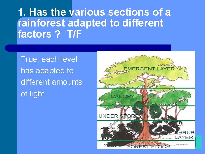 1. Has the various sections of a rainforest adapted to different factors ? T/F