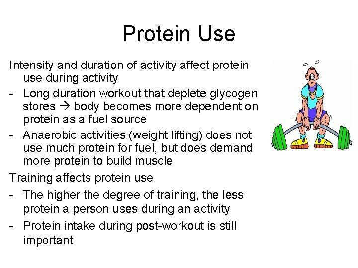 Protein Use Intensity and duration of activity affect protein use during activity - Long
