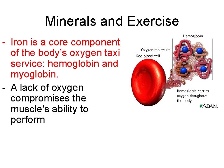 Minerals and Exercise - Iron is a core component of the body’s oxygen taxi