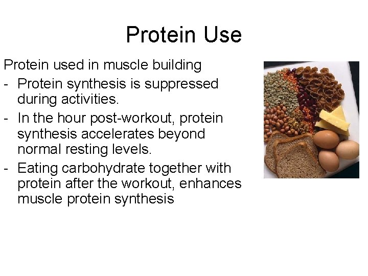 Protein Use Protein used in muscle building - Protein synthesis is suppressed during activities.