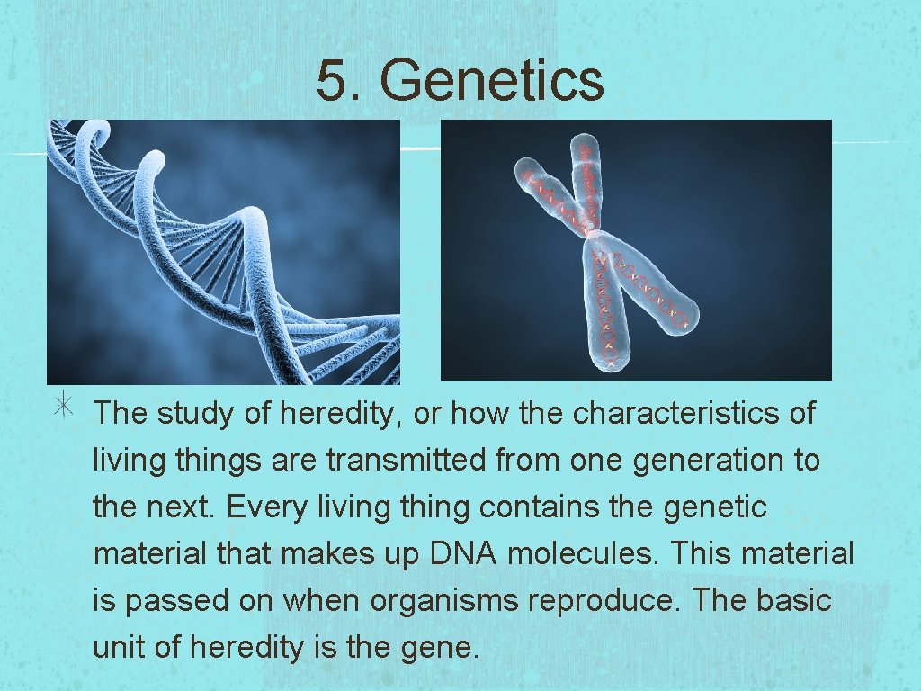 5. Genetics The study of heredity, or how the characteristics of living things are
