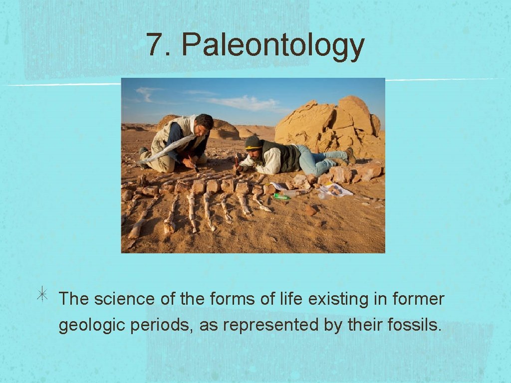 7. Paleontology The science of the forms of life existing in former geologic periods,