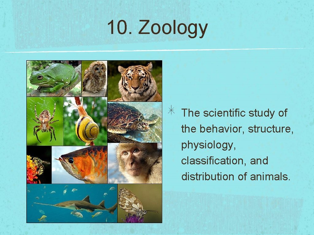 10. Zoology The scientific study of the behavior, structure, physiology, classification, and distribution of