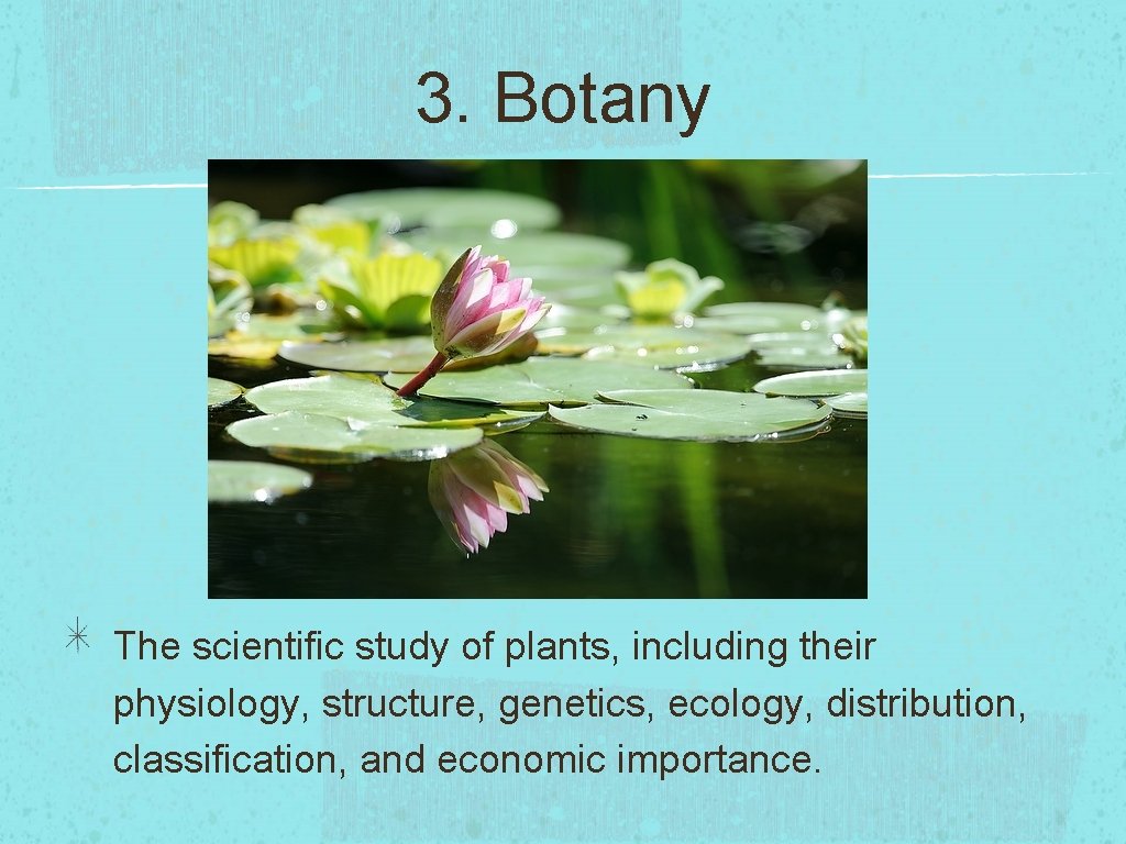 3. Botany The scientific study of plants, including their physiology, structure, genetics, ecology, distribution,