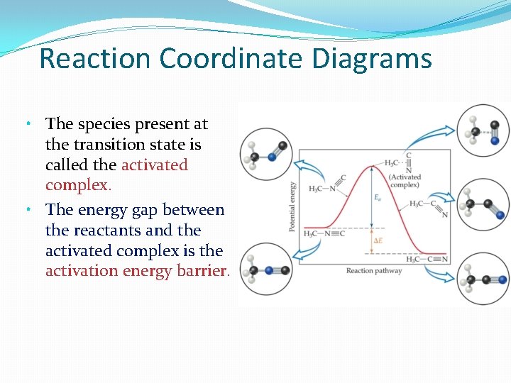 Reaction Coordinate Diagrams • The species present at the transition state is called the