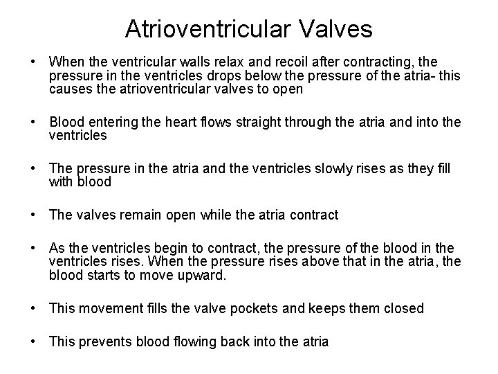 Atrioventricular Valves • When the ventricular walls relax and recoil after contracting, the pressure