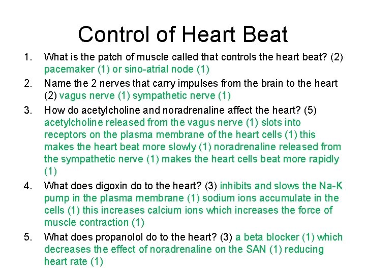 Control of Heart Beat 1. 2. 3. 4. 5. What is the patch of Control of Heart Beat 1. 2. 3. 4. 5. What is the patch of