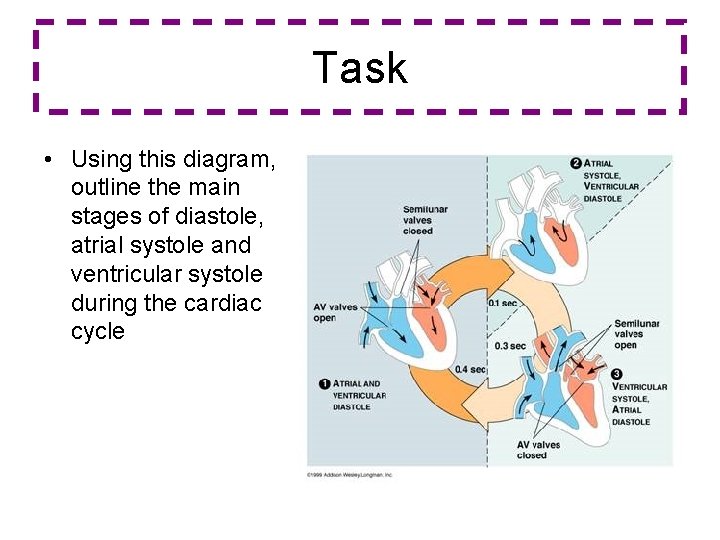 Task • Using this diagram, outline the main stages of diastole, atrial systole and