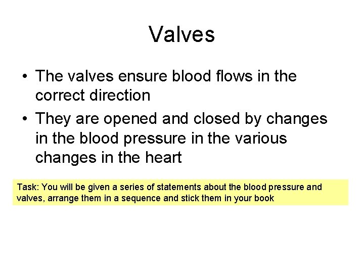 Valves • The valves ensure blood flows in the correct direction • They are Valves • The valves ensure blood flows in the correct direction • They are