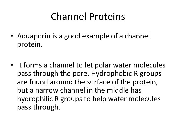 Channel Proteins • Aquaporin is a good example of a channel protein. • It