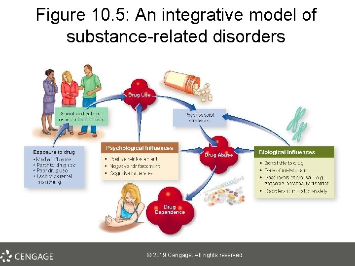 Figure 10. 5: An integrative model of substance-related disorders © 2019 Cengage. All rights