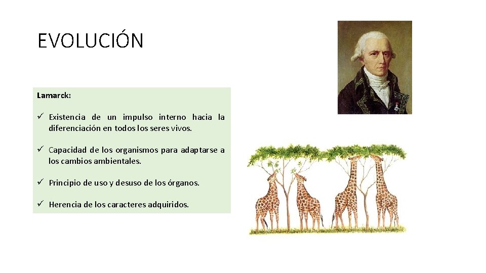 EVOLUCIÓN Lamarck: ü Existencia de un impulso interno hacia la diferenciación en todos los
