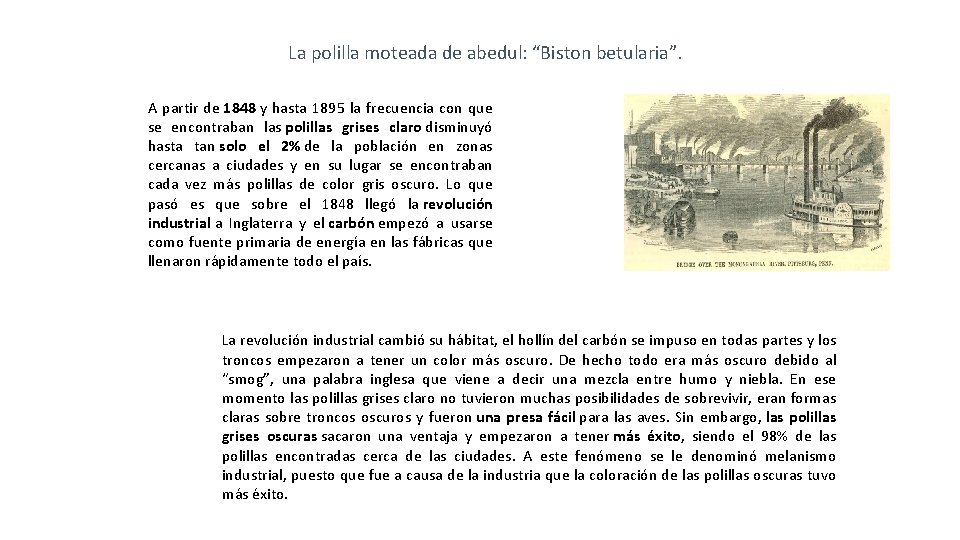 La polilla moteada de abedul: “Biston betularia”. A partir de 1848 y hasta 1895