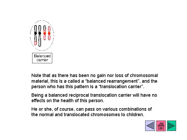 Note that as there has been no gain nor loss of chromosomal material, this