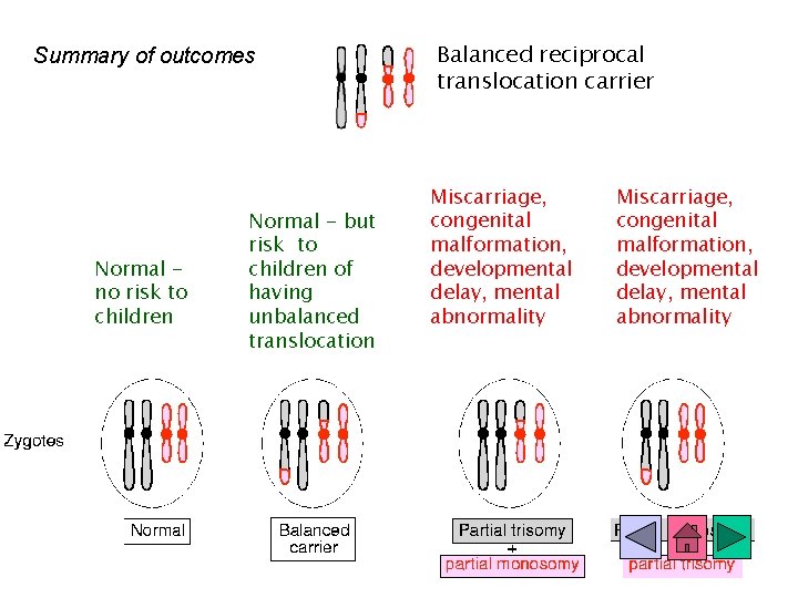 Summary of outcomes Normal no risk to children Normal - but risk to children