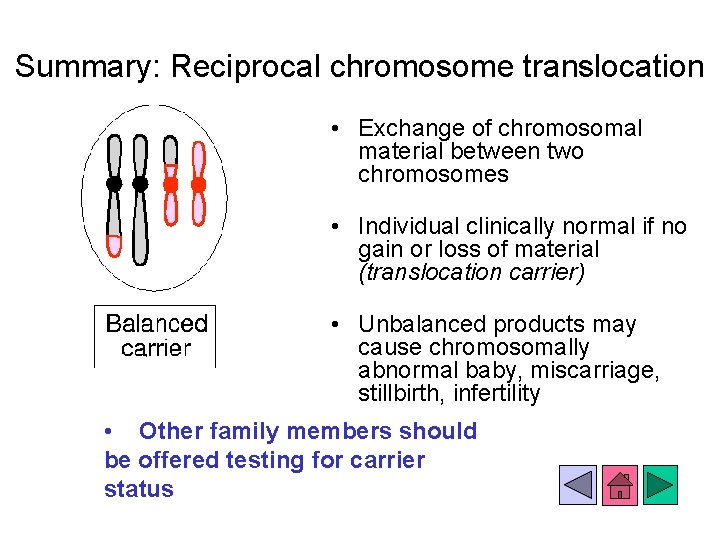 Summary: Reciprocal chromosome translocation • Exchange of chromosomal material between two chromosomes • Individual