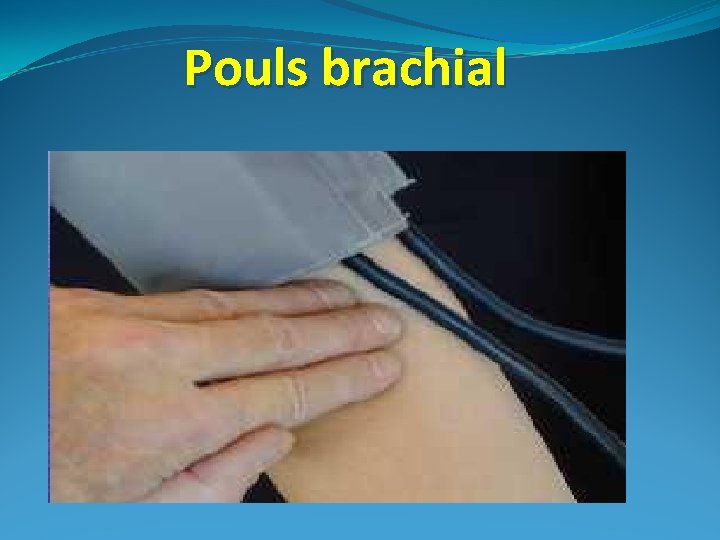 Pouls brachial 