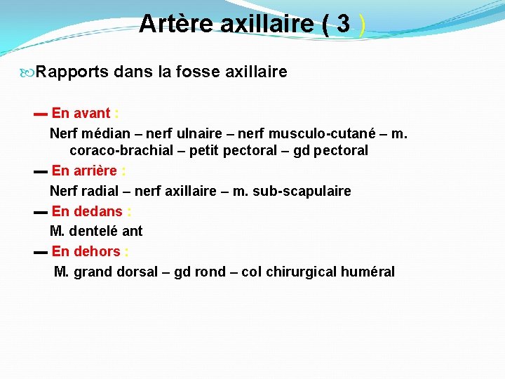 Artère axillaire ( 3 ) Rapports dans la fosse axillaire ▬ En avant :