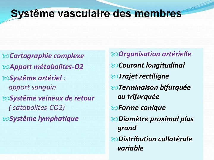 Systême vasculaire des membres Cartographie complexe Apport métabolites-O 2 Systême artériel : apport sanguin