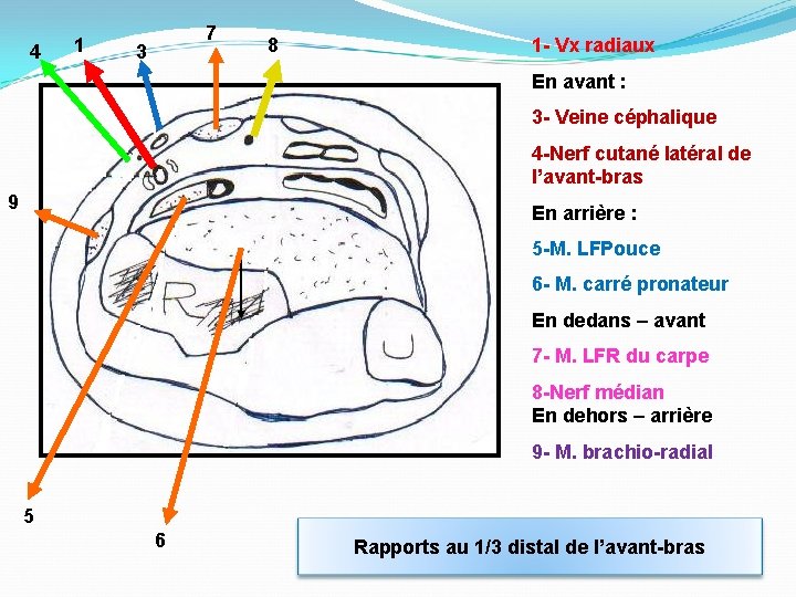 4 1 7 3 8 1 - Vx radiaux En avant : 3 -