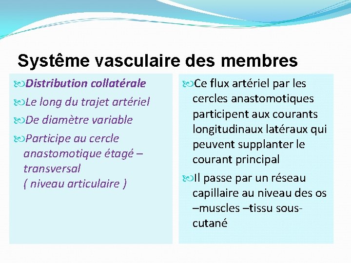 Systême vasculaire des membres Distribution collatérale Le long du trajet artériel De diamètre variable