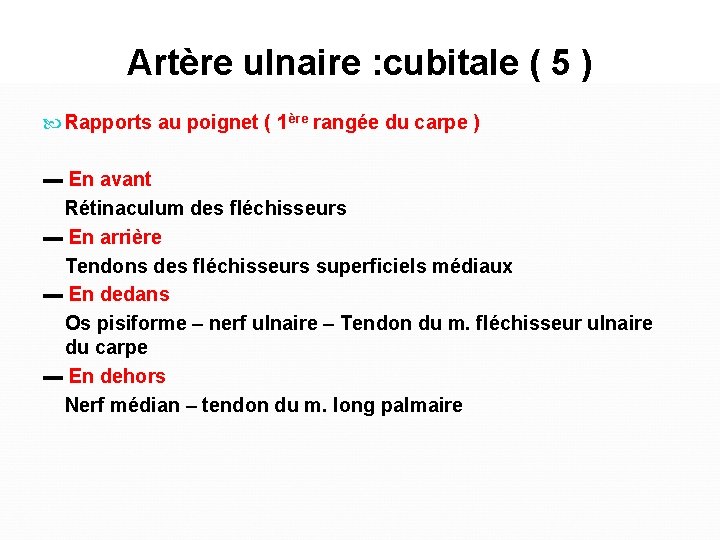 Artère ulnaire : cubitale ( 5 ) Rapports au poignet ( 1ère rangée du