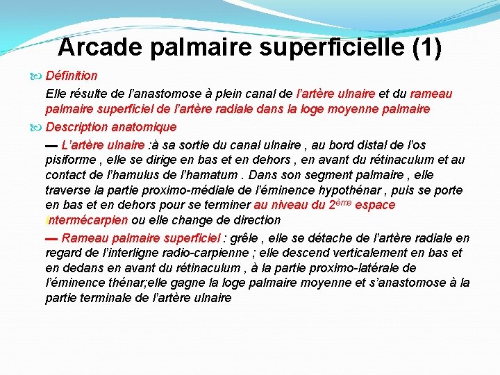 Arcade palmaire superficielle (1) Définition Elle résulte de l’anastomose à plein canal de l’artère