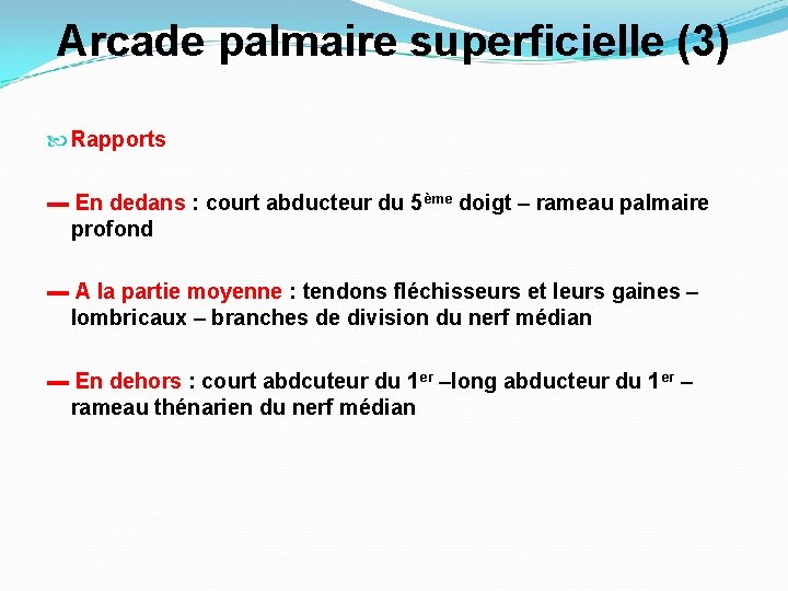 Arcade palmaire superficielle (3) Rapports ▬ En dedans : court abducteur du 5ème doigt