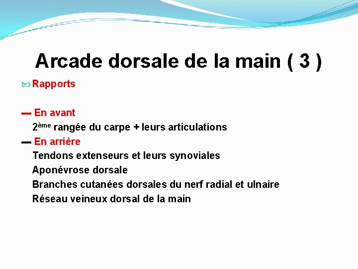 Arcade dorsale de la main ( 3 ) Rapports ▬ En avant 2ème rangée