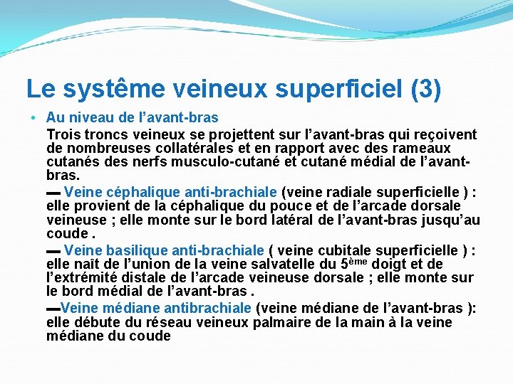 Le systême veineux superficiel (3) • Au niveau de l’avant-bras Trois troncs veineux se