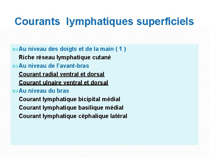 Courants lymphatiques superficiels Au niveau des doigts et de la main ( 1 )