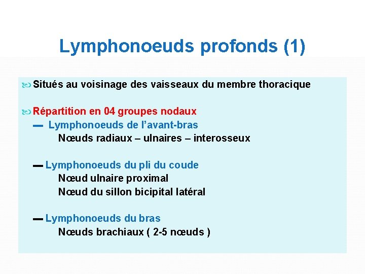 Lymphonoeuds profonds (1) Situés au voisinage des vaisseaux du membre thoracique Répartition en 04