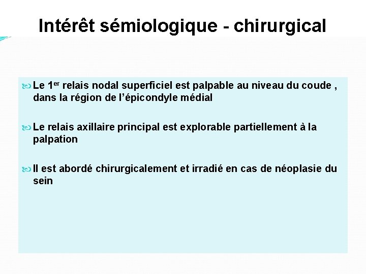 Intérêt sémiologique - chirurgical Le 1 er relais nodal superficiel est palpable au niveau