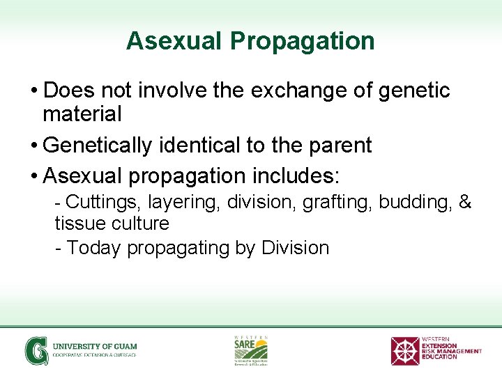 Asexual Propagation • Does not involve the exchange of genetic material • Genetically identical