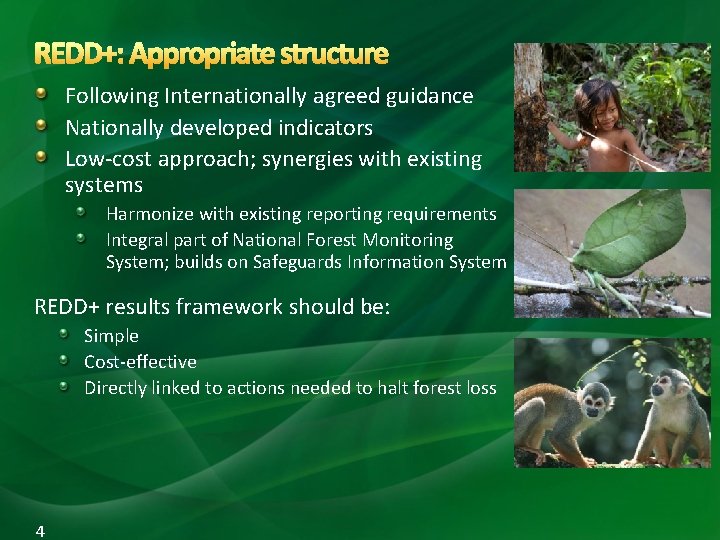 REDD+: Appropriate structure Following Internationally agreed guidance Nationally developed indicators Low-cost approach; synergies with