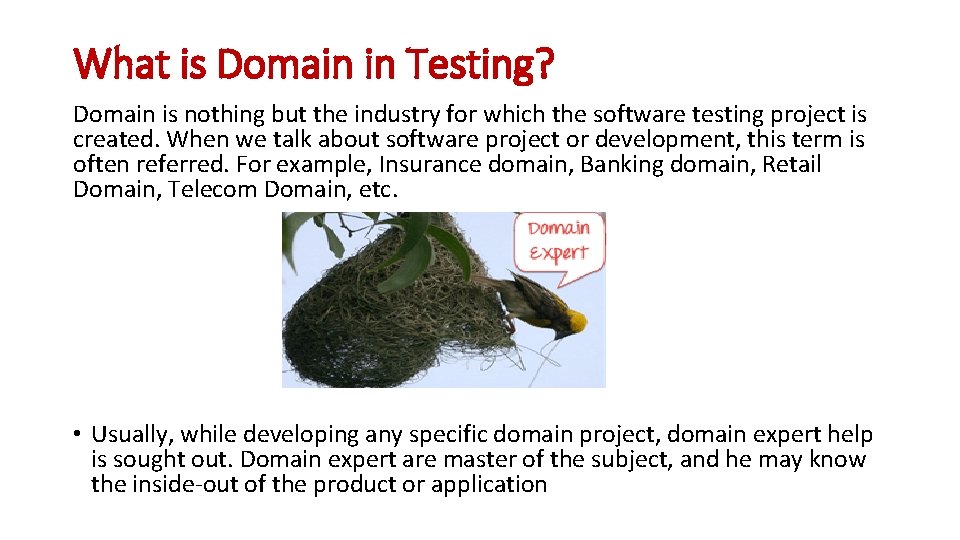 What is Domain in Testing? Domain is nothing but the industry for which the