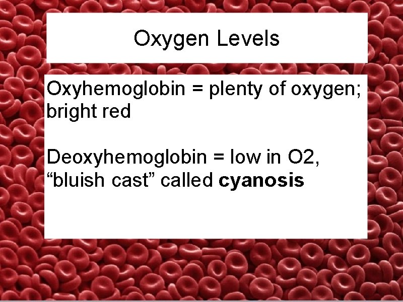 Oxygen Levels Oxyhemoglobin = plenty of oxygen; bright red Deoxyhemoglobin = low in O
