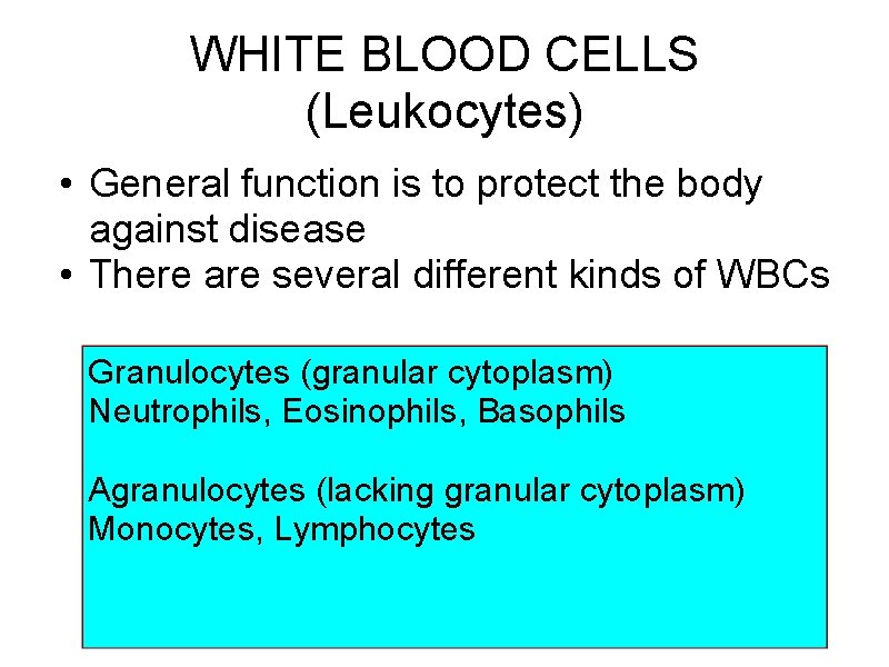 WHITE BLOOD CELLS (Leukocytes) • General function is to protect the body against disease