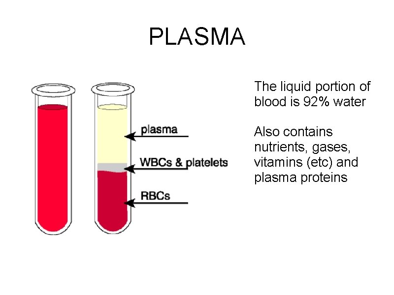 PLASMA The liquid portion of blood is 92% water Also contains nutrients, gases, vitamins