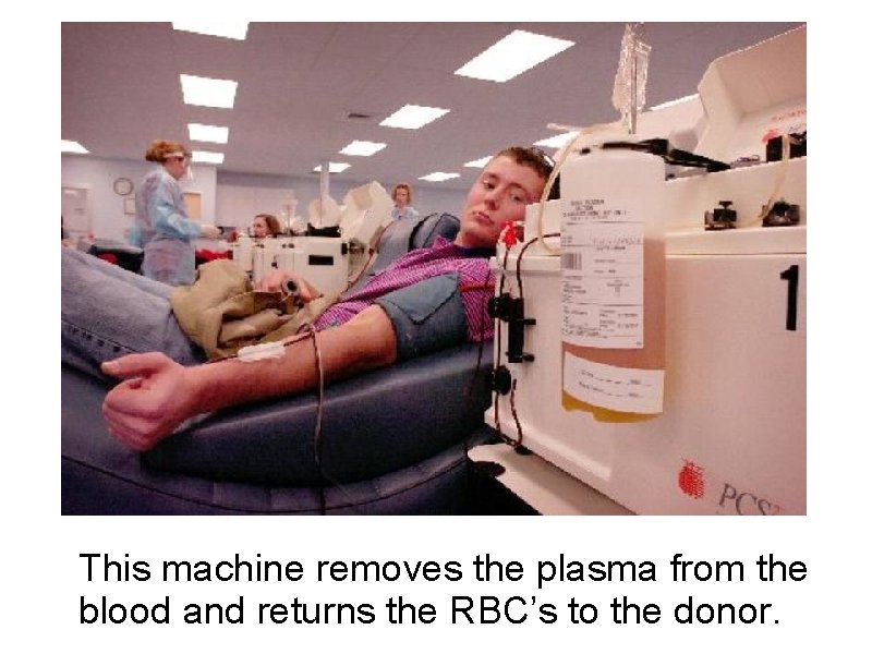 This machine removes the plasma from the blood and returns the RBC’s to the