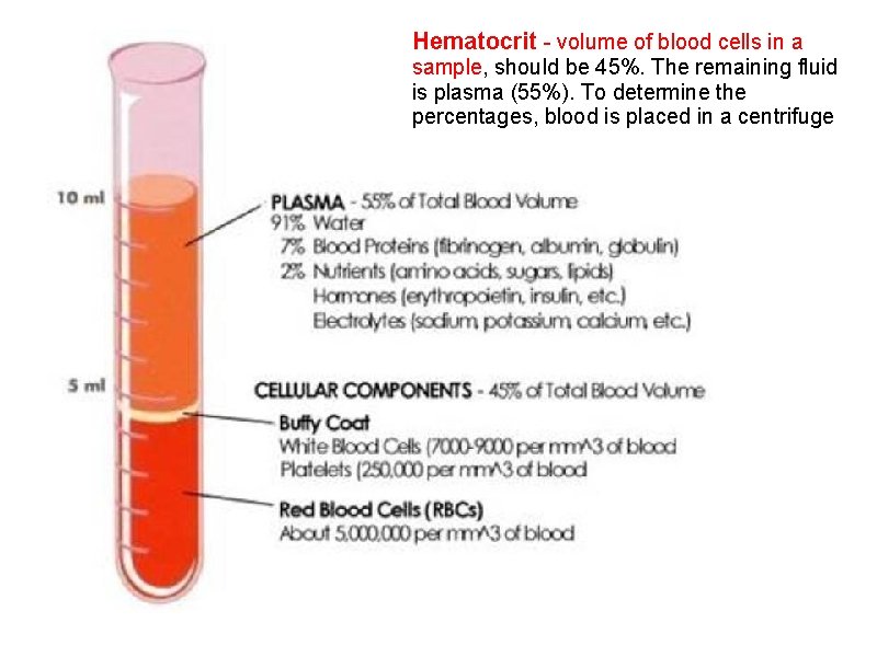 Hematocrit - volume of blood cells in a sample, should be 45%. The remaining