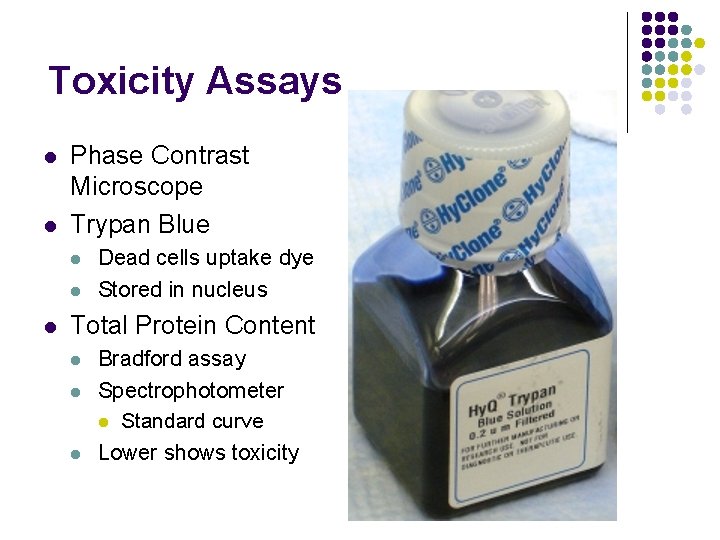 Toxicity Assays l l Phase Contrast Microscope Trypan Blue l l l Dead cells