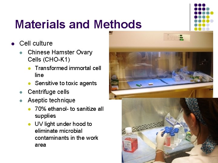 Materials and Methods l Cell culture l Chinese Hamster Ovary Cells (CHO-K 1) l