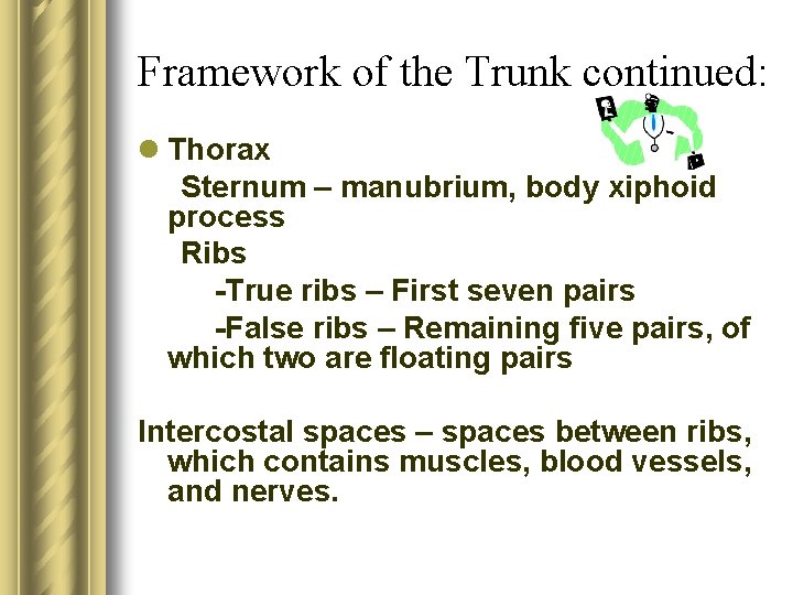 Framework of the Trunk continued: l Thorax Sternum – manubrium, body xiphoid process Ribs