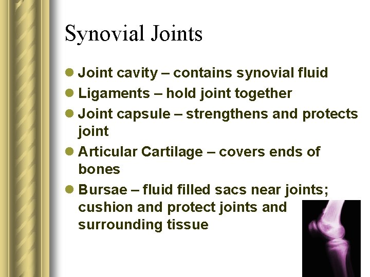 Synovial Joints l Joint cavity – contains synovial fluid l Ligaments – hold joint