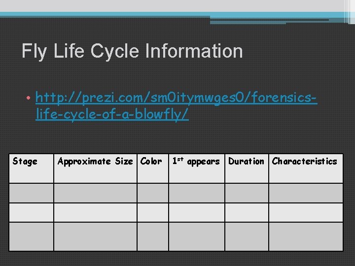 Fly Life Cycle Information • http: //prezi. com/sm 0 itymwges 0/forensicslife-cycle-of-a-blowfly/ Stage Approximate Size