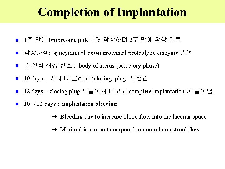 Completion of Implantation 1주 말에 Embryonic pole부터 착상하며 2주 말에 착상 완료 착상과정; syncytium의