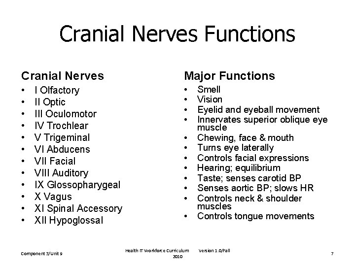 Cranial Nerves Functions Cranial Nerves Major Functions • • • • I Olfactory II Cranial Nerves Functions Cranial Nerves Major Functions • • • • I Olfactory II