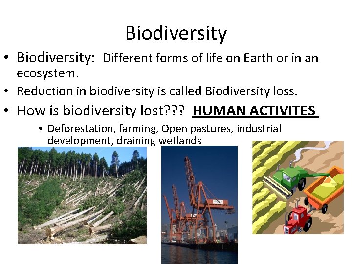 Biodiversity • Biodiversity: Different forms of life on Earth or in an ecosystem. •